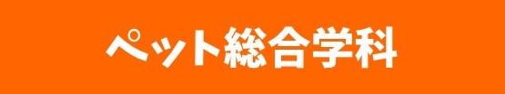 2019年【就職内定速報！】ペット総合学科