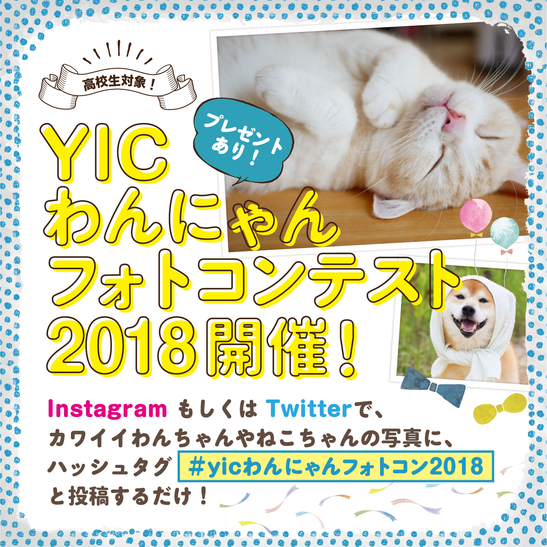 YICわんにゃんフォトコンテスト開催♪