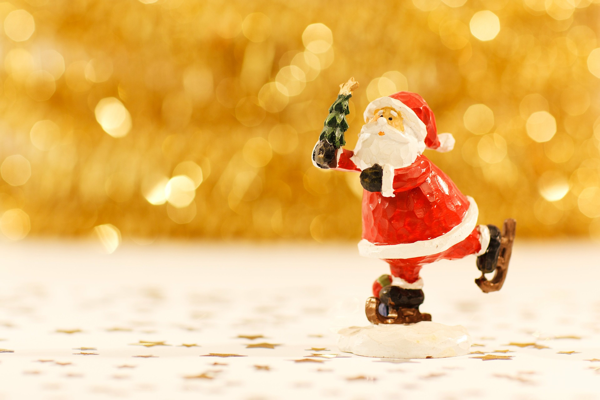 クリスマスオープンキャンパスのお知らせ
