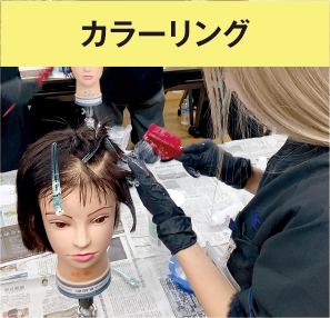 カラーリング