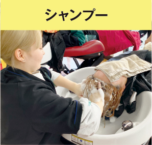シャンプー