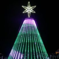 ときわ公園でナイトウエディングをしませんか？