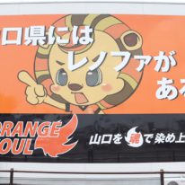 インターンシップ実習報告 受入先①「レノファ山口株式会社」様
