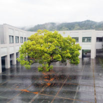 公務員就職準備研修
