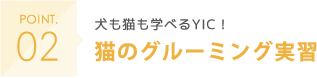 POINT02 犬も猫も学べるYIC！猫ブームにも対応！猫のグルーミング実習