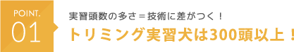 POINT01 実習頭数の多さ＝技術に差がつく！トリミング実習犬は300頭以上！