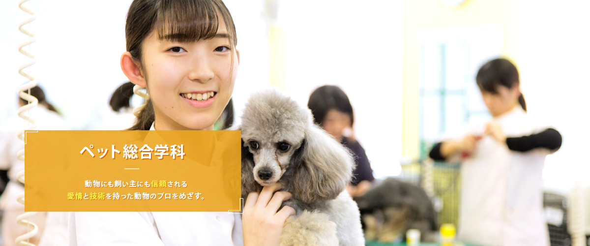 ペット総合学科