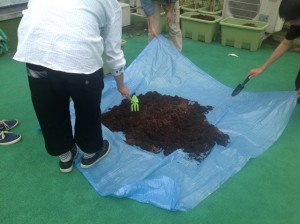 【YICファーム】後期開始しました！