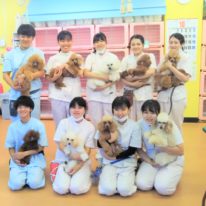 【ペット総合学科】速報！トリマー2級検定 祝 全員合格！