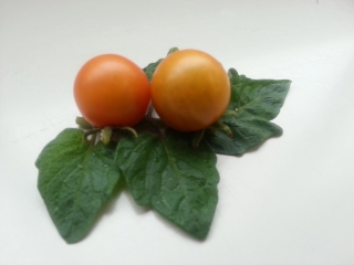 20131024_100649.jpg