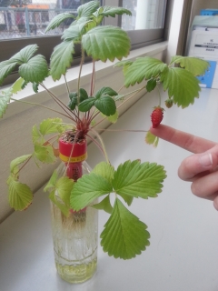 20140128_164033.jpg