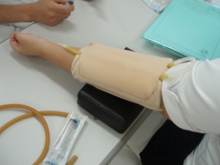 P1010052.jpg