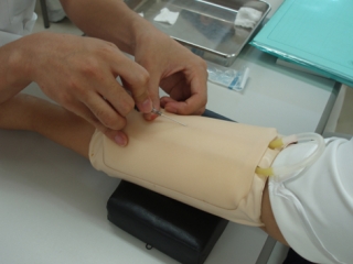 P1010057.jpg