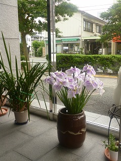 四季の花