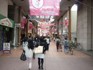P1120342.jpg