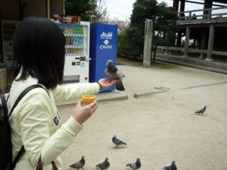 P1120369.jpg