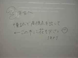 P1120857.jpg