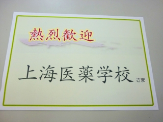 P1130841.jpg