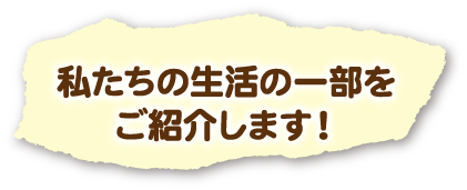 私たちの生活の一部をご紹介します！