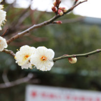 合格祈願に防府天満宮へ行ってきました！
