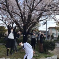 桜満開🌸