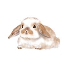年末年始休館のお知らせ