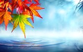 9月14日（土）休館のお知らせ