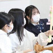 【2024年♪入学前教育プログラム🌸】１月