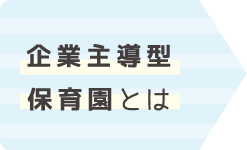 企業主導型保育園とは